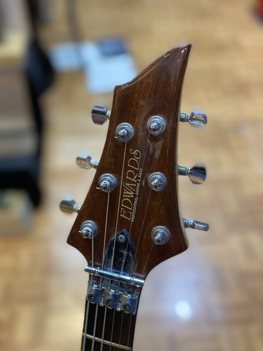 ESP Edwards フォレスト forest 120GT 中古