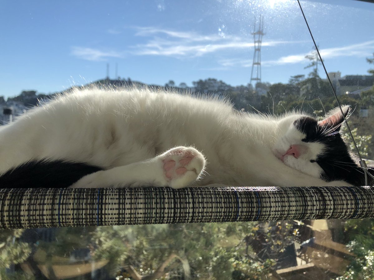 Darren Platt @dplattsf@sfba.social tweet media