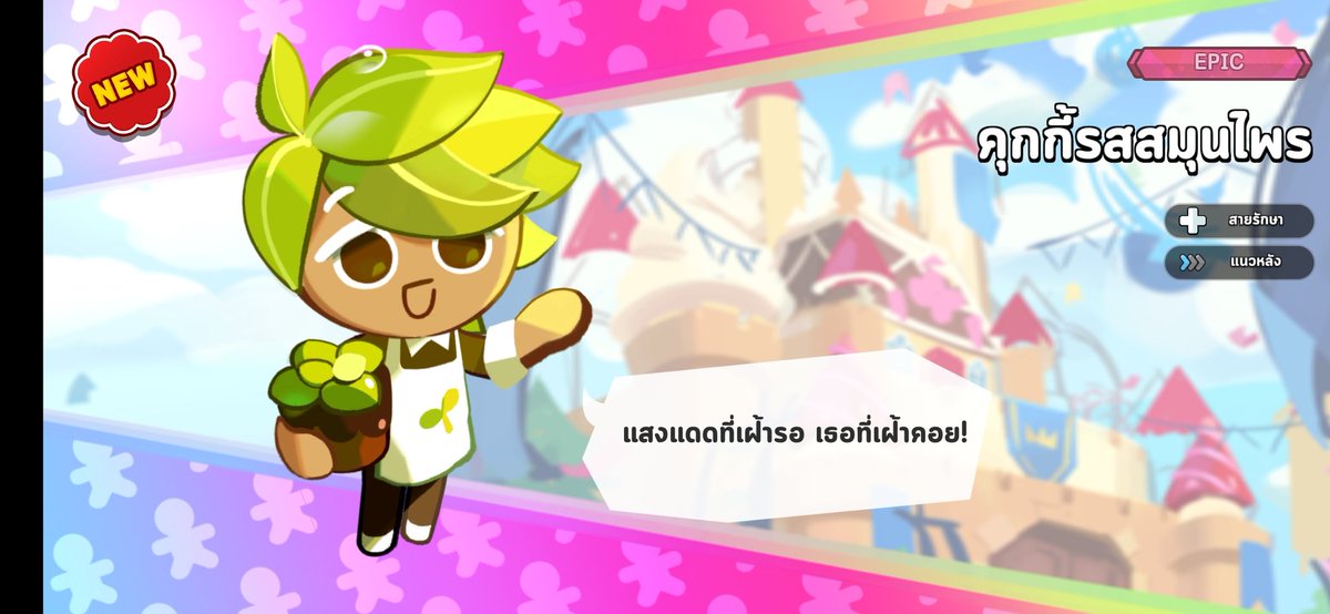 มายเมโลหมวย 🎅🏻🎄 tweet media