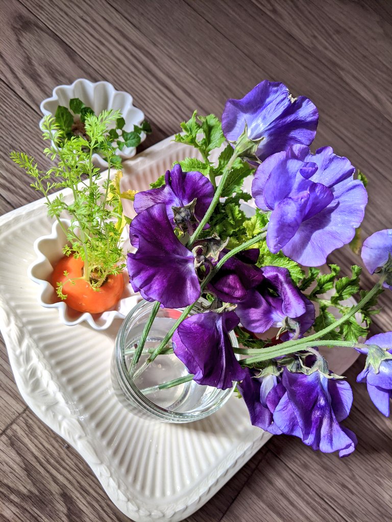 すずき まゆみ 気温が低いと花保ちがいい 何度も切り戻しをしたスイートピーは随分小さくなった 人参や大根 の葉っぱも七草粥の生き残りも水栽培で元気 植物は心に良く効く