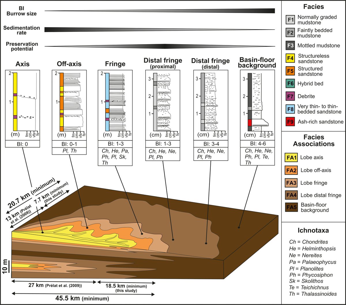 Miquel Poyatos Moré (@sedi_mental) on Twitter photo Wondering what's beyond your basin-floor fan sandstone pinchout? It's taken some time, but the second paper of
<a href="/muddy_turbidite/">Kévin Boulesteix</a>'s PhD is finally out! pubs.geoscienceworld.org/sepm/jsedres/a… Wondering what's beyond your basin-floor fan sandstone pinchout? It's taken some time, but the second paper of
<a href="/muddy_turbidite/">Kévin Boulesteix</a>'s PhD is finally out! pubs.geoscienceworld.org/sepm/jsedres/a…