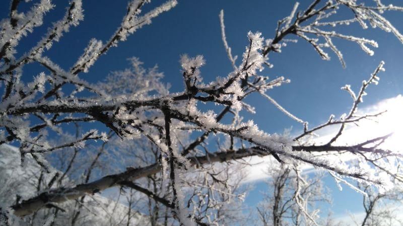 Kirkon eläkerahaston sijoitustoiminnan strategisena tavoitteena on eläkevastuun kattamiseksi tapahtuva varojen kartuttaminen tuottavasti, turvaavasti ja vastuulliset näkökohdat huomioiden.  #vastuullinensijoittaminen
evl.fi/uutishuone/art…