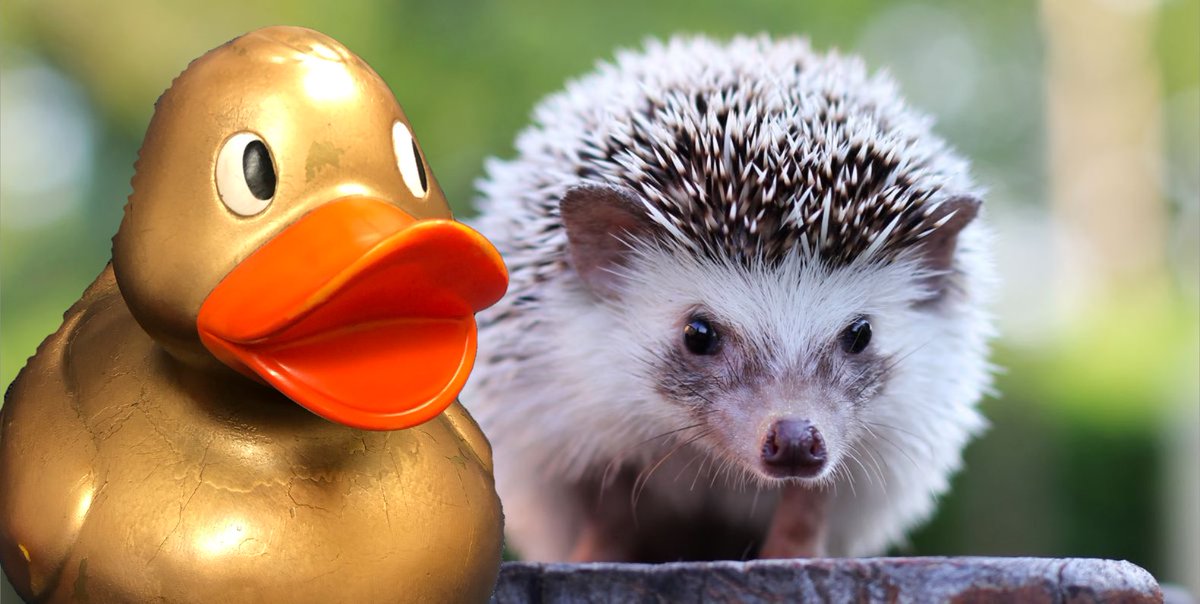 Golden Duck tweet media