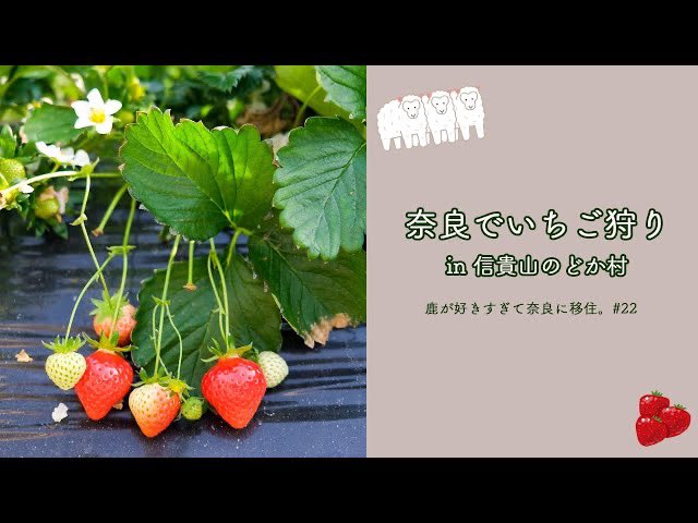のどか村 のどか村