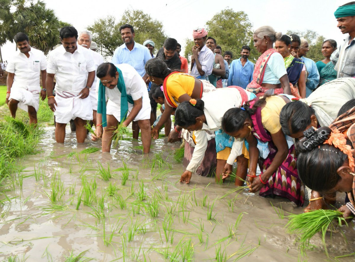 AIADMKITWINGOFL's tweet photo. நானும் ஒரு விவசாயி, விவசாயிகளை நேசிப்பவன், விவசாயிகளின் இன்னலை தீர்ப்பதே எனத��� முதல் கடமை என்னும் நிலையில் எடுக்கப்பட்டுள்ள இந்த பயிர்க்கடன் தள்ளுபடியினால் 16.43 இலட்சம் வேளாண் மக்கள் சிரமமின்றி சாகுபடியை தொடரலாம்."

- மாண்புமிகு தமிழகமுதல்வர் அவர்கள்

#மண்ணின்_மைந்தன்
#AIADMK https://t.co/amHKDK0ydi