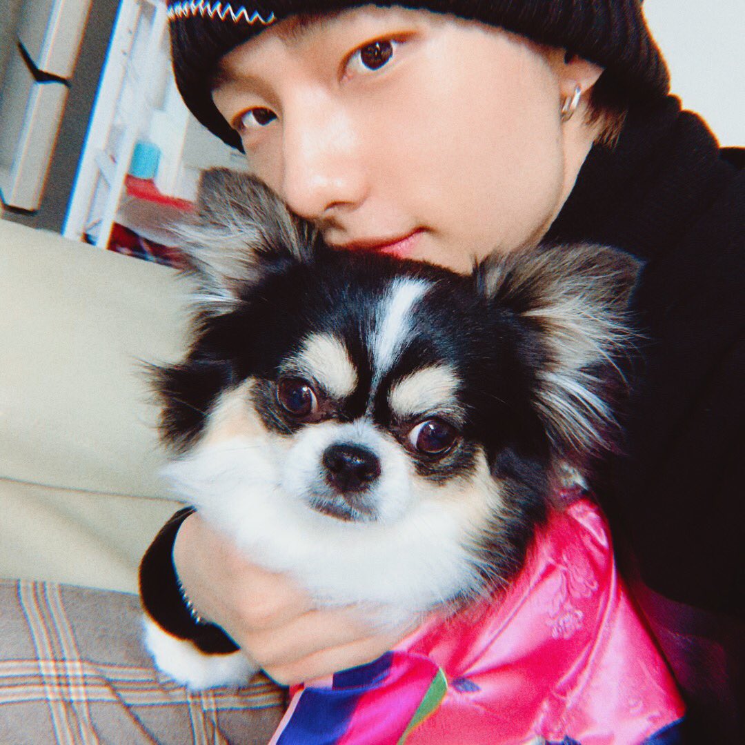 HWHJPICS's tweet image. hyunjin and kkami 🤍