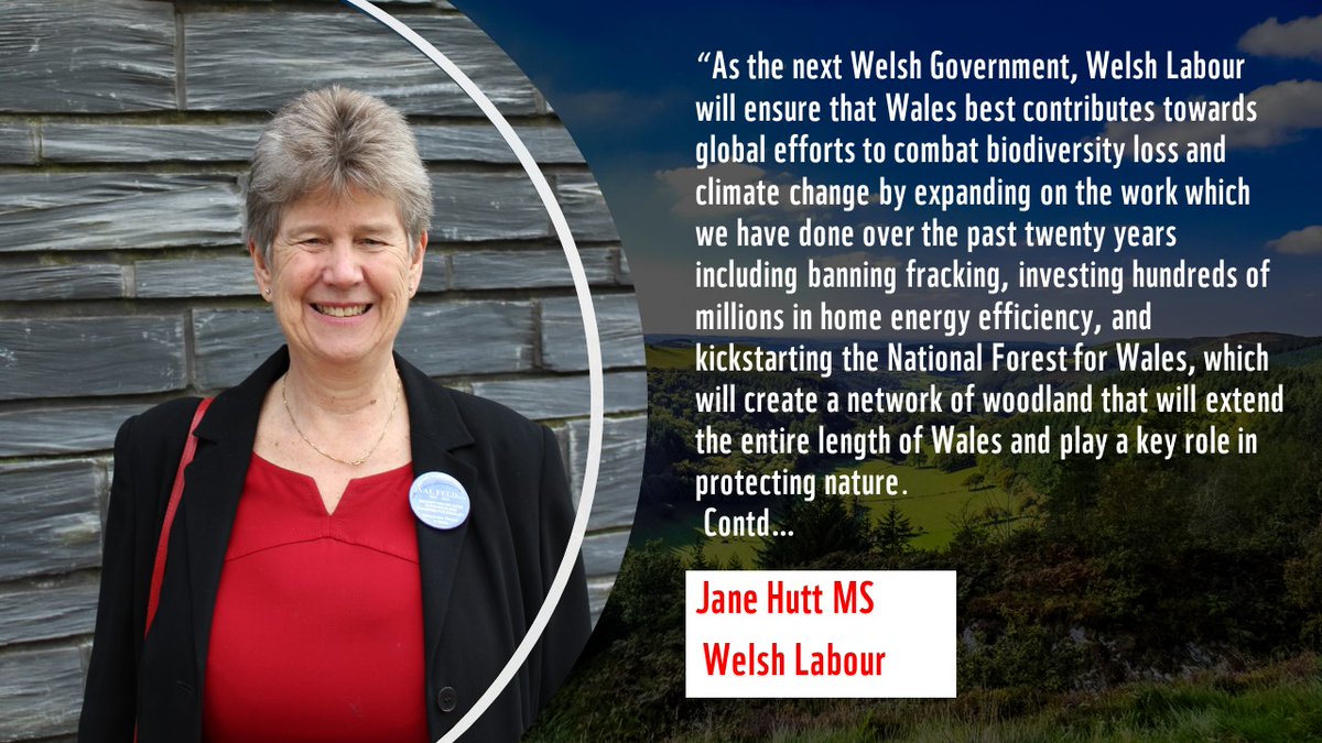 WWF Cymru 🌏 (@wwfcymru) on Twitter photo 