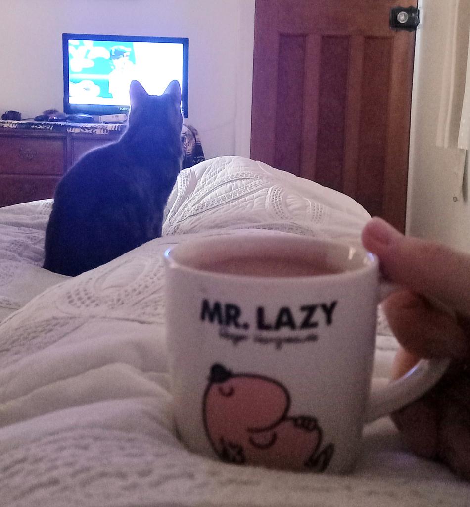 JessFudge20's tweet photo. Me & Dad are furry busy watching #testcricket this #friyay morning.......
Come on Engpurrland ๐ด๓ ง๓ ข๓ ฅ๓ ฎ๓ ง๓ ฟ๐พ๐พ๐น #Peanut #INDvsENG #CatsOfTwitter #CatsOfCricket #ItsABoyThing https://t.co/ZRsDSCTaF7