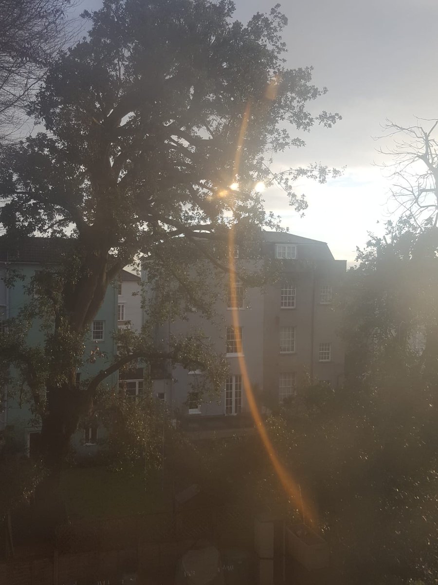 stephcparker's tweet photo. I held Emily & family in my ♥️ on my #WalkforEmily. Sending hope & strength your way.
It was dark last night so took a brighter pic this morning!
It's not too late to walk or donate: text WALKFOREMILY to 70085 to donate £2. Texts cost £2 plus one standard rate message 🌞 https://t.co/pGVkcKB694
