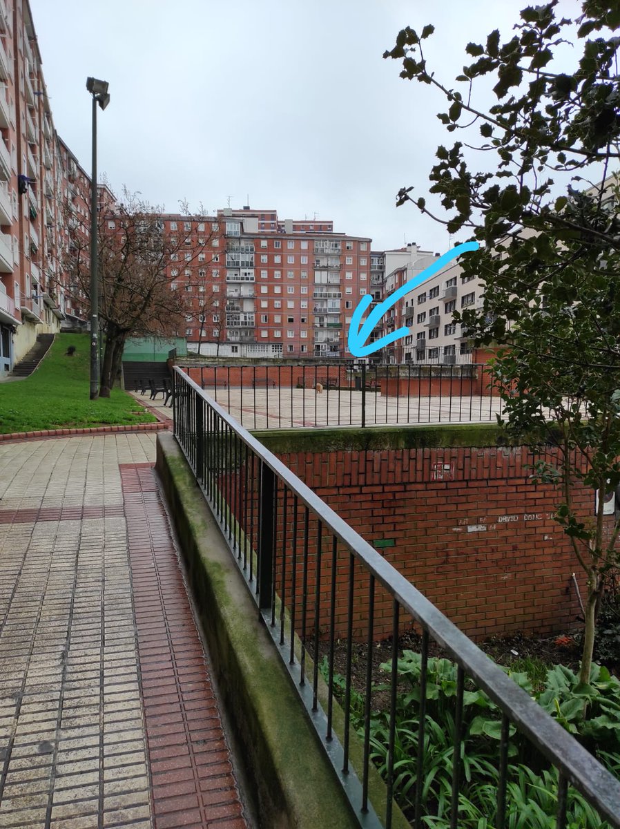 LaDelLibroRoto's tweet photo. Veis eso? Es una perra que no quiere volver a casa. https://t.co/d78fCZYZk0