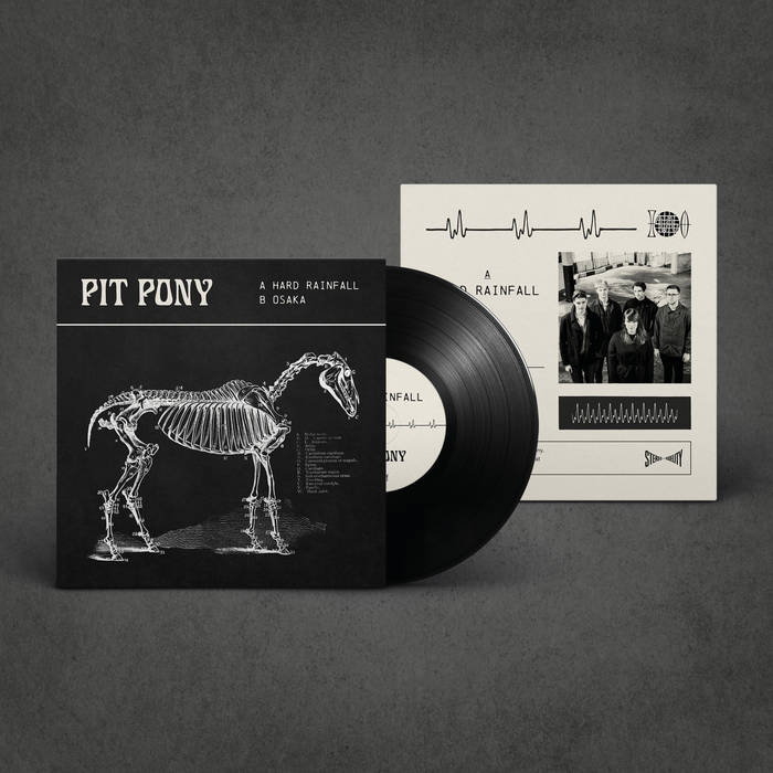 Pit Pony tweet media