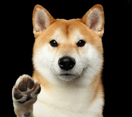 VictorZubarev's tweet photo. $DOGE now 0.04499
#dogecoin and #Gann
Q: what is the importance of the 720* and 1080* tgts ?
A: plenty
"nice doggie, don't bite now"
"man sells his house for $135,000 to buy $DOGE "
#DogecoinToTheMoon
#CapTrade #CapUpdate https://t.co/n4JE2V6IM5