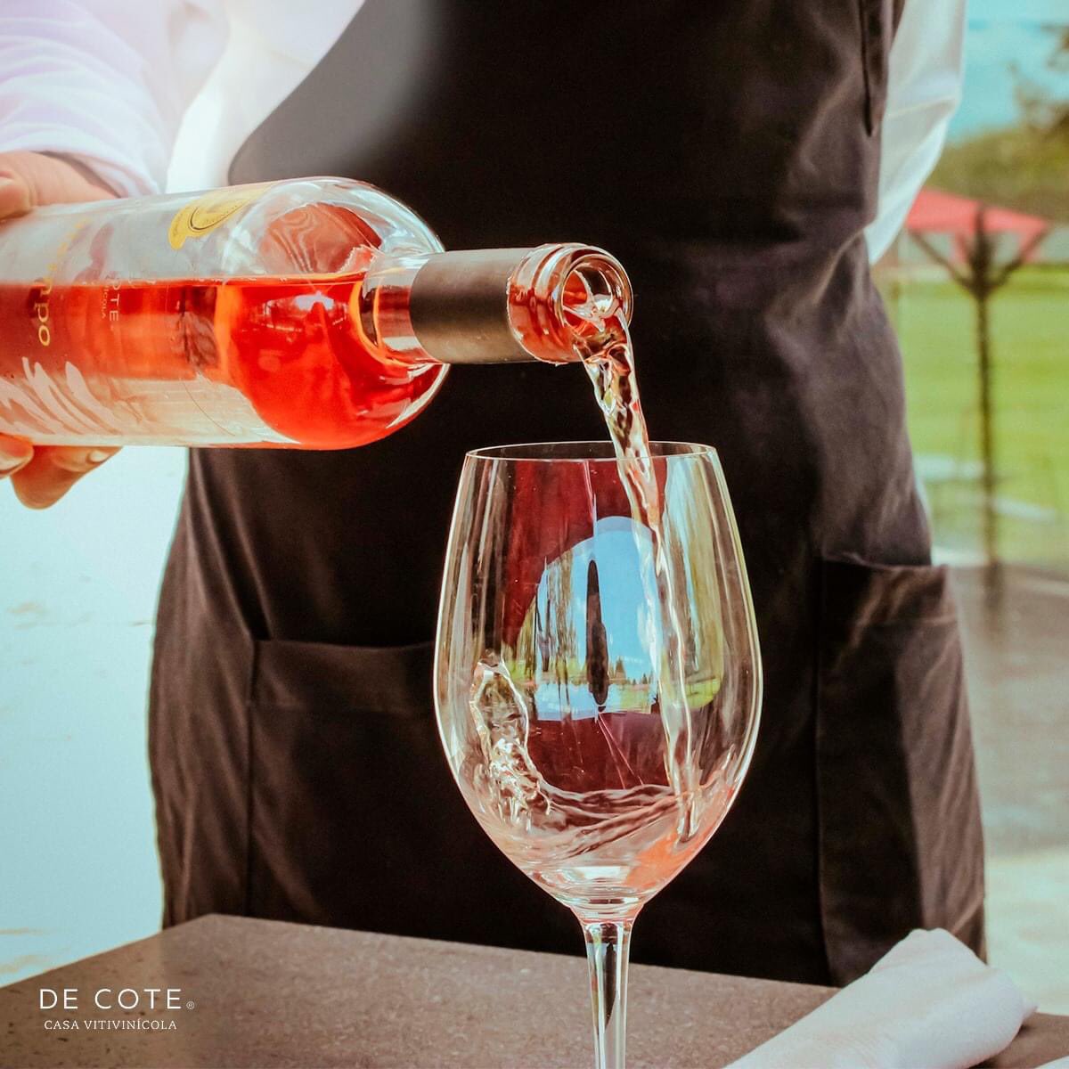 Empezar el día con café y terminarlo con vino 🍷💕 #VinosPremiumDeCote #BodegasDeCote