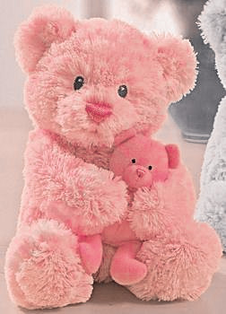 10th ~ 𝙏𝙚𝙙𝙙𝙮 𝘿𝙖𝙮  #ShaheerSheikh