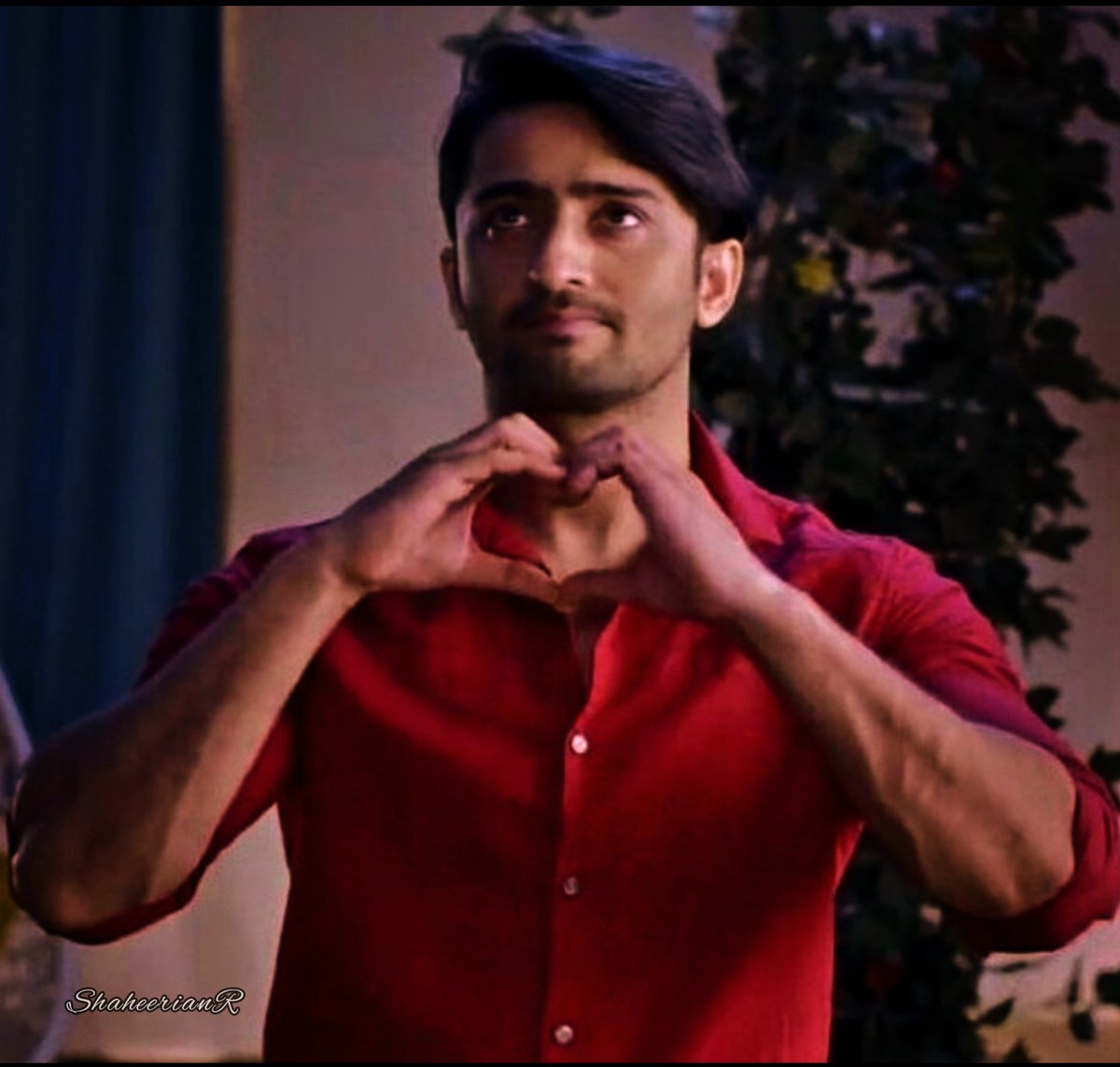 14th ~ 𝙑𝙖𝙡𝙚𝙣𝙩𝙞𝙣𝙚'𝙨 𝘿𝙖𝙮  #ShaheerSheikh