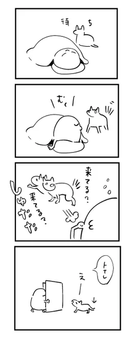 こうです 