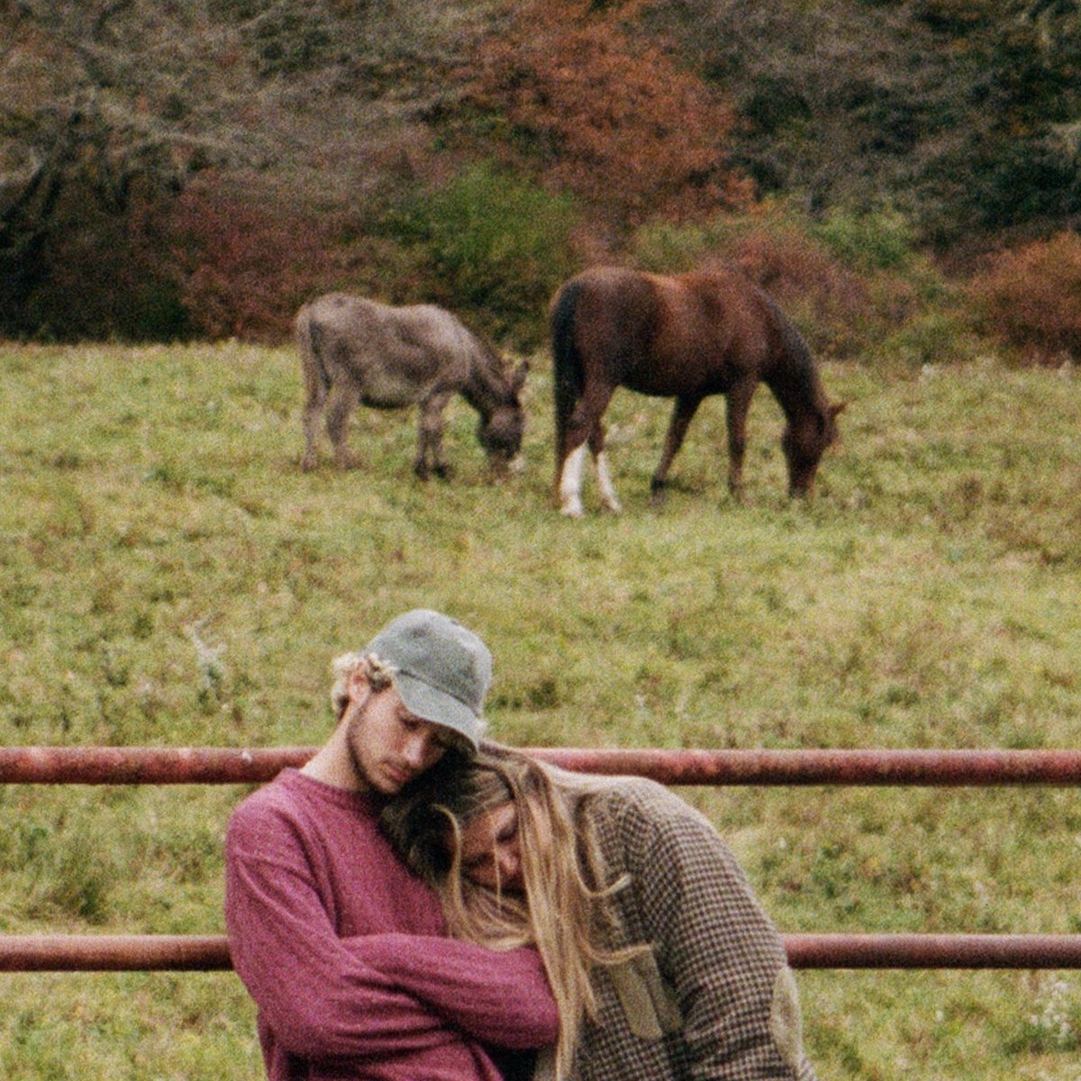 jeremyzucker's tweet photo. brent ii is out now!!!! stream until you’re all cried out <3
ily @chelseacutler 

https://t.co/8Plt5oeKLe https://t.co/0ZvtfJvVAx