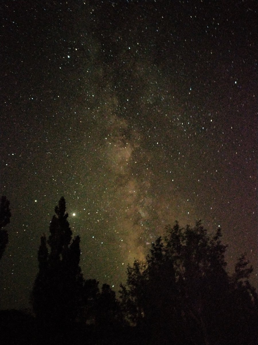 SaboRural tweet media