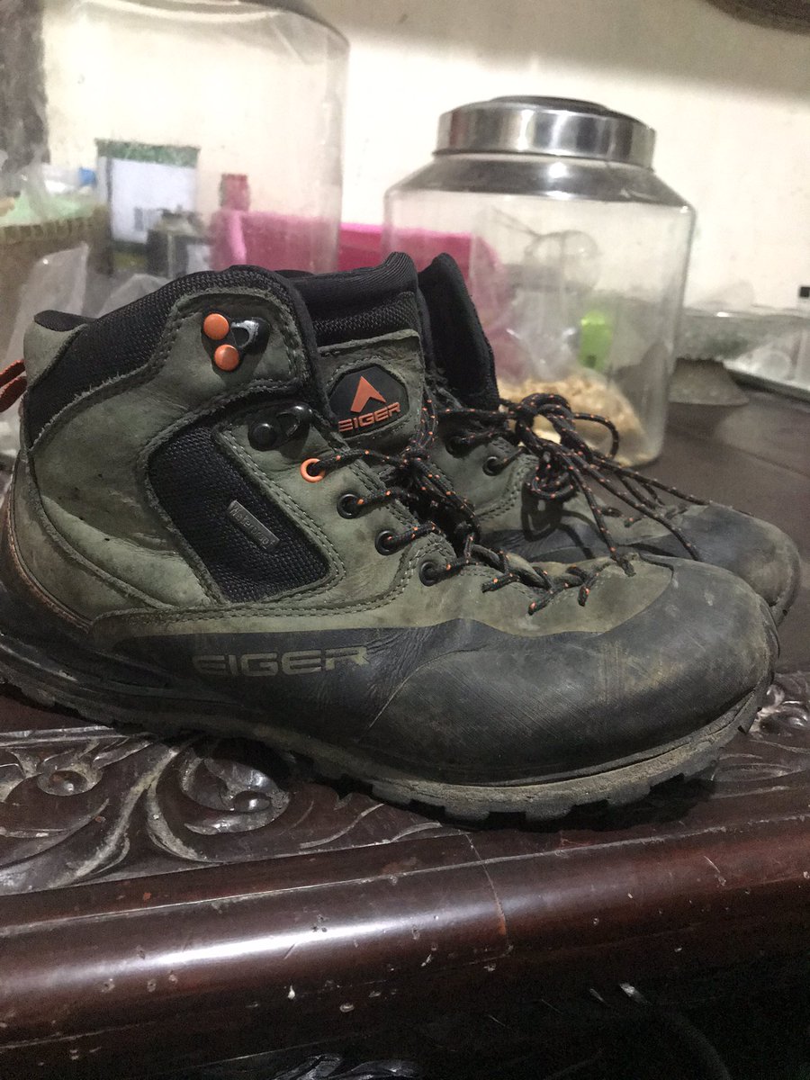 sweetseventeee's tweet photo. @FiersaBesari ijin numpang jual sepatu🙏🏻
eiger phyton uk 41
minus box aja hancur
harga beli 1,4
dijual 700 nego https://t.co/69aoEwdJfr