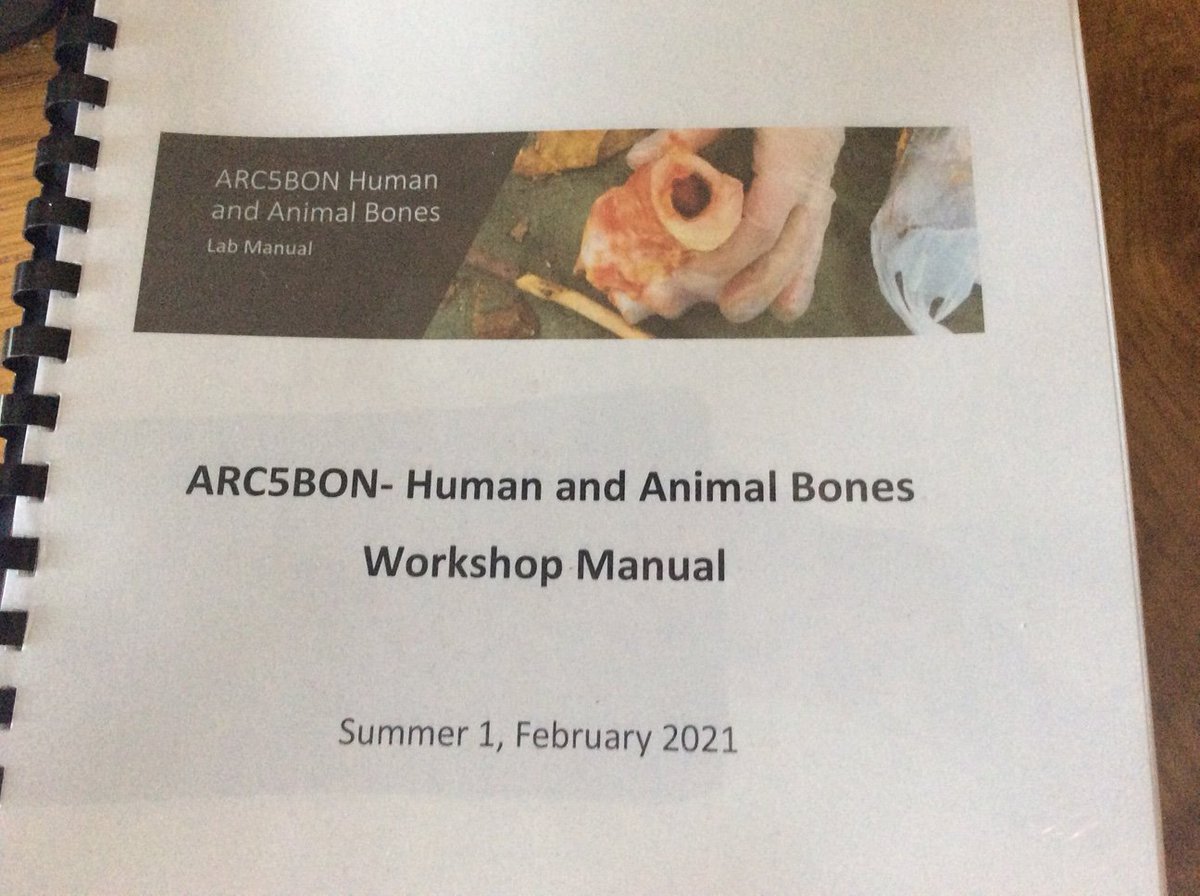 jillian_garvey's tweet photo. So after almost a year away from teaching students on campus, the new @LTUArchaeology teaching lab is all set up to teach our #ARC5BON Human and Animal Bones summer intensive subject next week. I hope the students are as excited as I am! @latrobe #zooarchaeology https://t.co/hZ0uvoZuQG