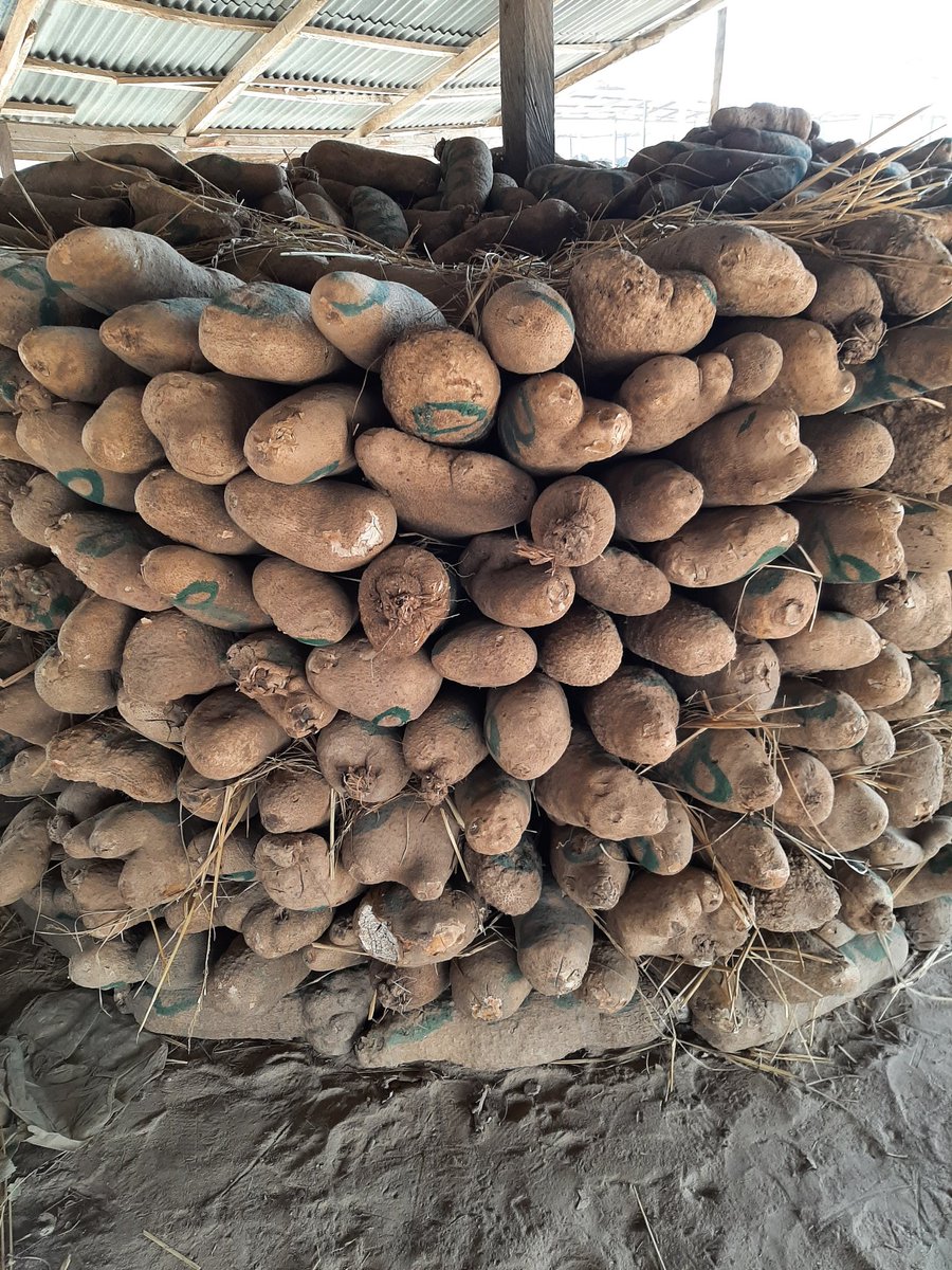 NiproFoods's tweet photo. https://t.co/TgrozdZKjR