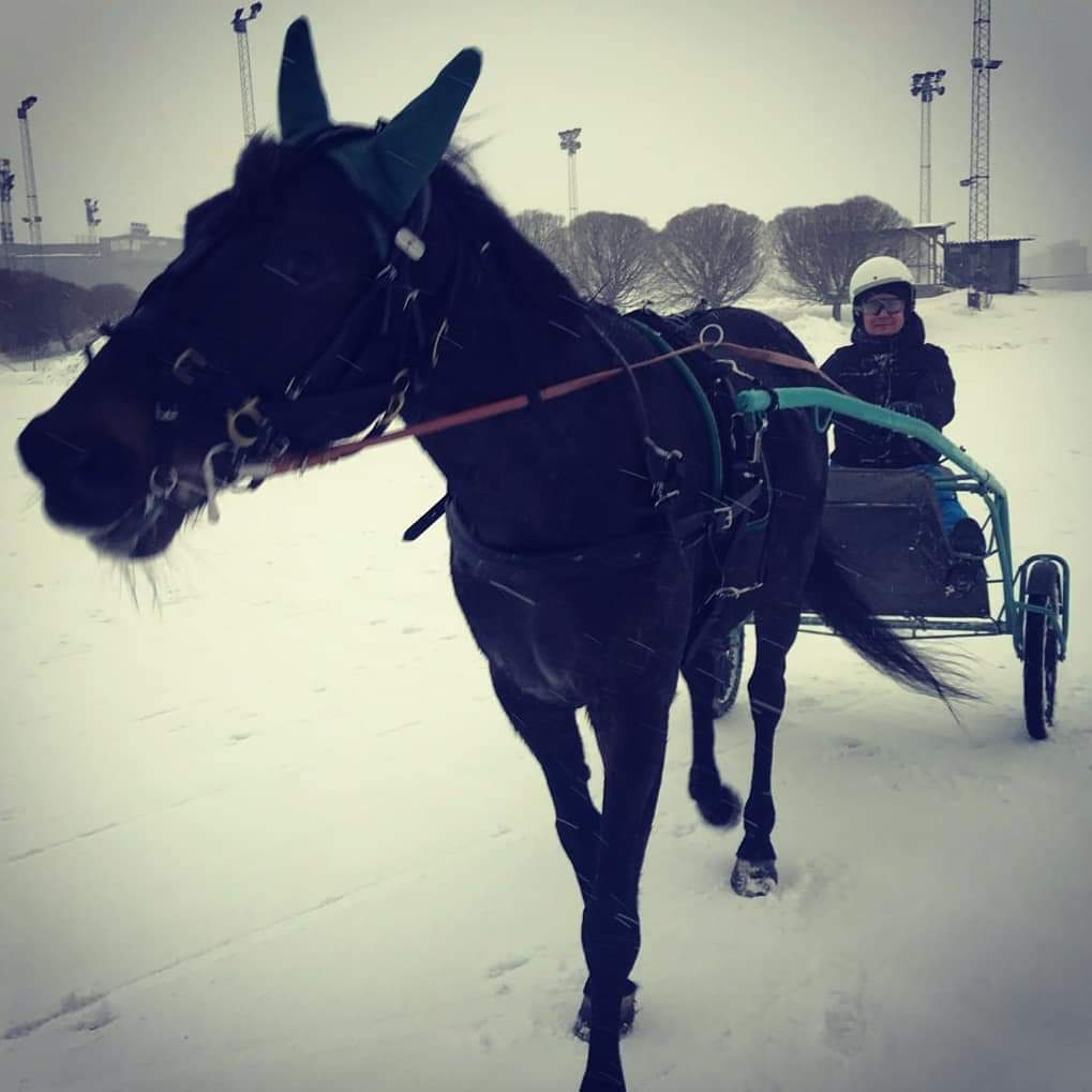 Sos. media muistutti, että kaksi vuotta sitten ensikertaa hevosen kanssa lenkillä. Silloinkin oli siis lunta ❄ 

Parissa vuodessa on tapahtunut paljon, joskin useammin pitäisi päästä baanalle 🐴 #ravit

Kiitos <a href="/VermonRavikoulu/">Vermon Ravikoulu</a> 

<a href="/VermoAreena/">Vermo Areena</a>