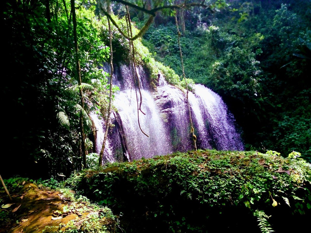 CulSafaris's tweet photo. A safari in the rainy season is a wondrous experience. The bush vibrant with new foliage, the grass electric green and knee-high and panoramas of wildflowers to the horizon.
#visituganda
📧Info@cultoursandsafaris.com
🌐https://t.co/NEHx9qEuoP
📞+256 414660243, +256 775776980 https://t.co/EmNY9QLon5