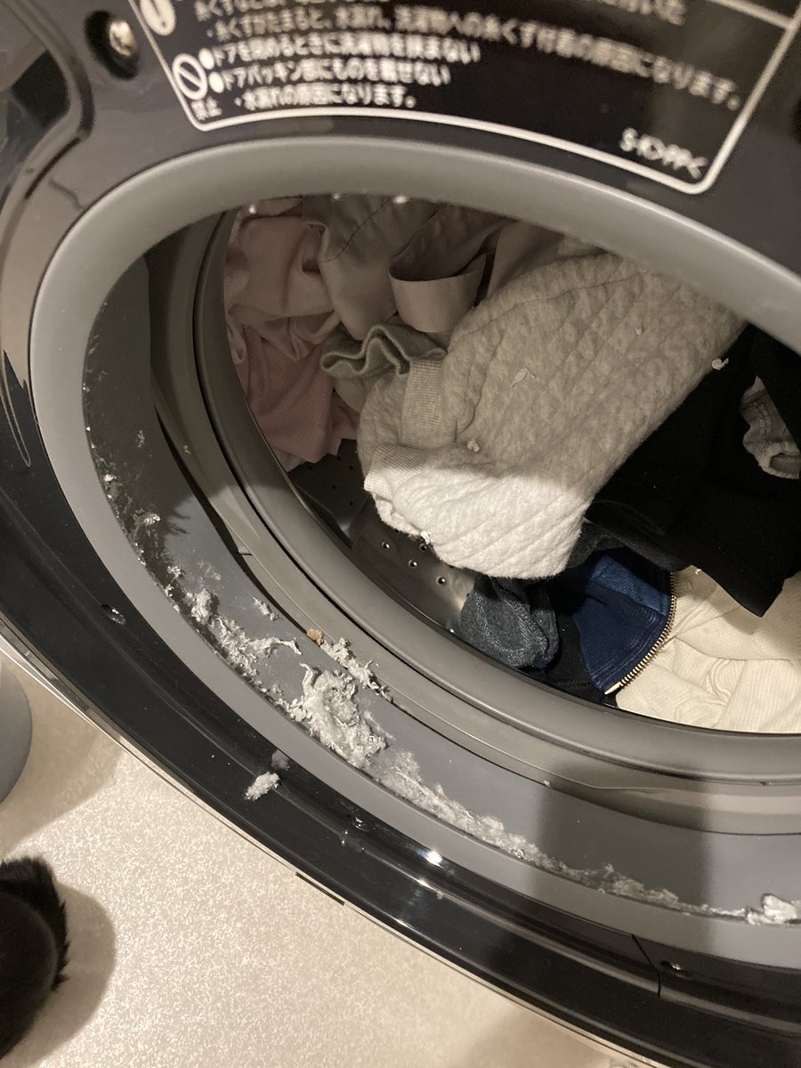 望月志乃 ごめんなさい 聞いて貰っていいですか 本日 ずっと欲しかったドラム式洗濯乾燥機が届いたんですが 初回からやらかした おかしいな ポッケにティッシュ 入ってた イヤァァァァ