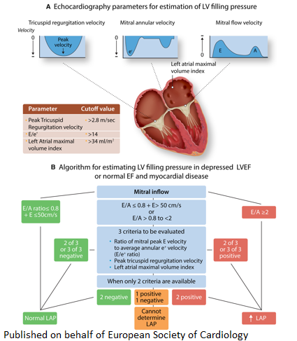 It’s all in the details: state-of-the-art review on #HFpEF identifying the pathophysiology &amp; #molecular mechanisms as a step towards better diagnosis &amp; treatment academic.oup.com/cardiovascres/…

<a href="/CVR_TomaszGuzik/">CVR Tomasz Guzik</a> <a href="/AlAntonopoulos/">Alexios S. Antonopoulos</a> #HeartFailure #CVD #CardiovascularResearch