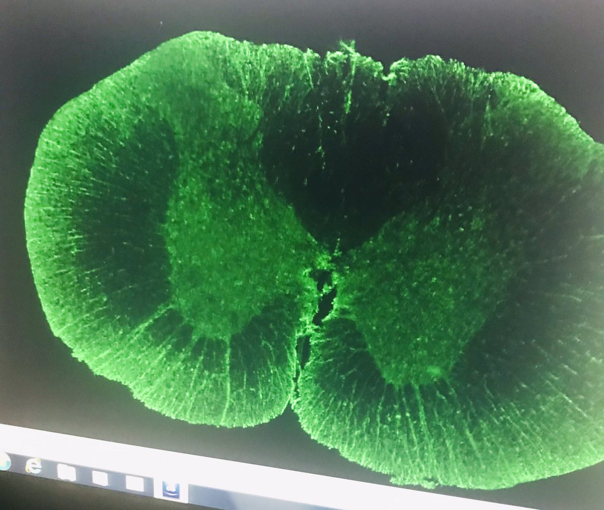 Melissa Tadros tweet media