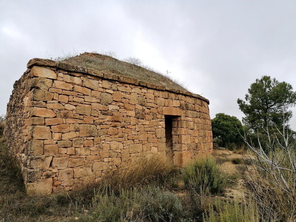 Repoblem tweet media