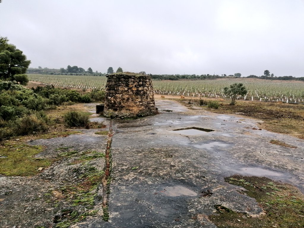 Repoblem tweet media