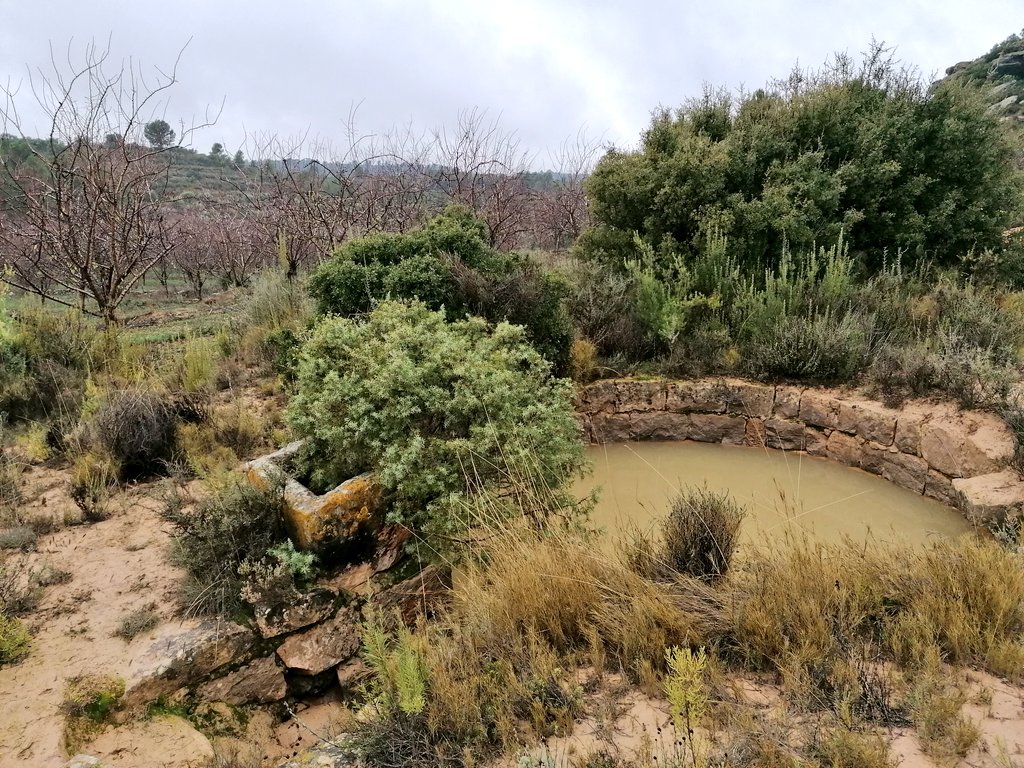 Repoblem tweet media