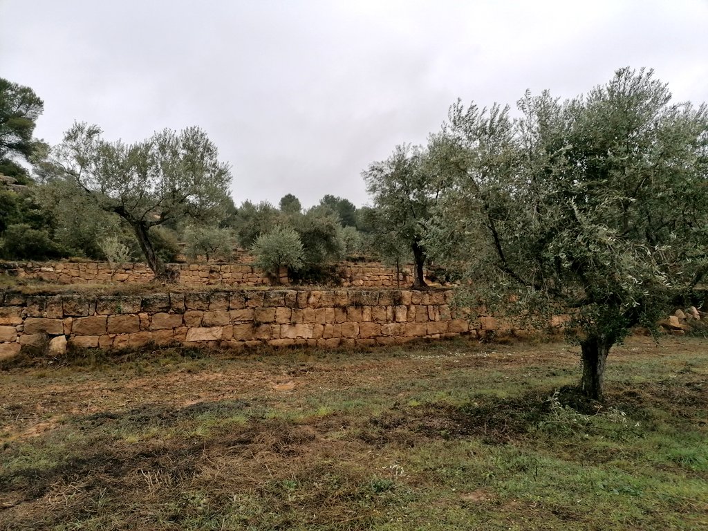 Repoblem tweet media