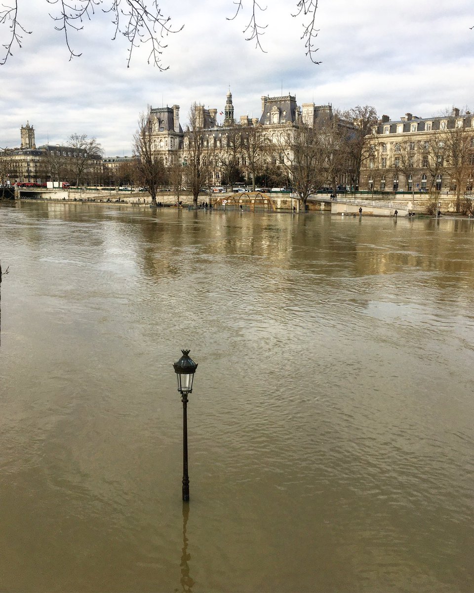 Paris_by_Elodie's tweet image. Good morning from central Paris where the Seine river is making itself comfortable.