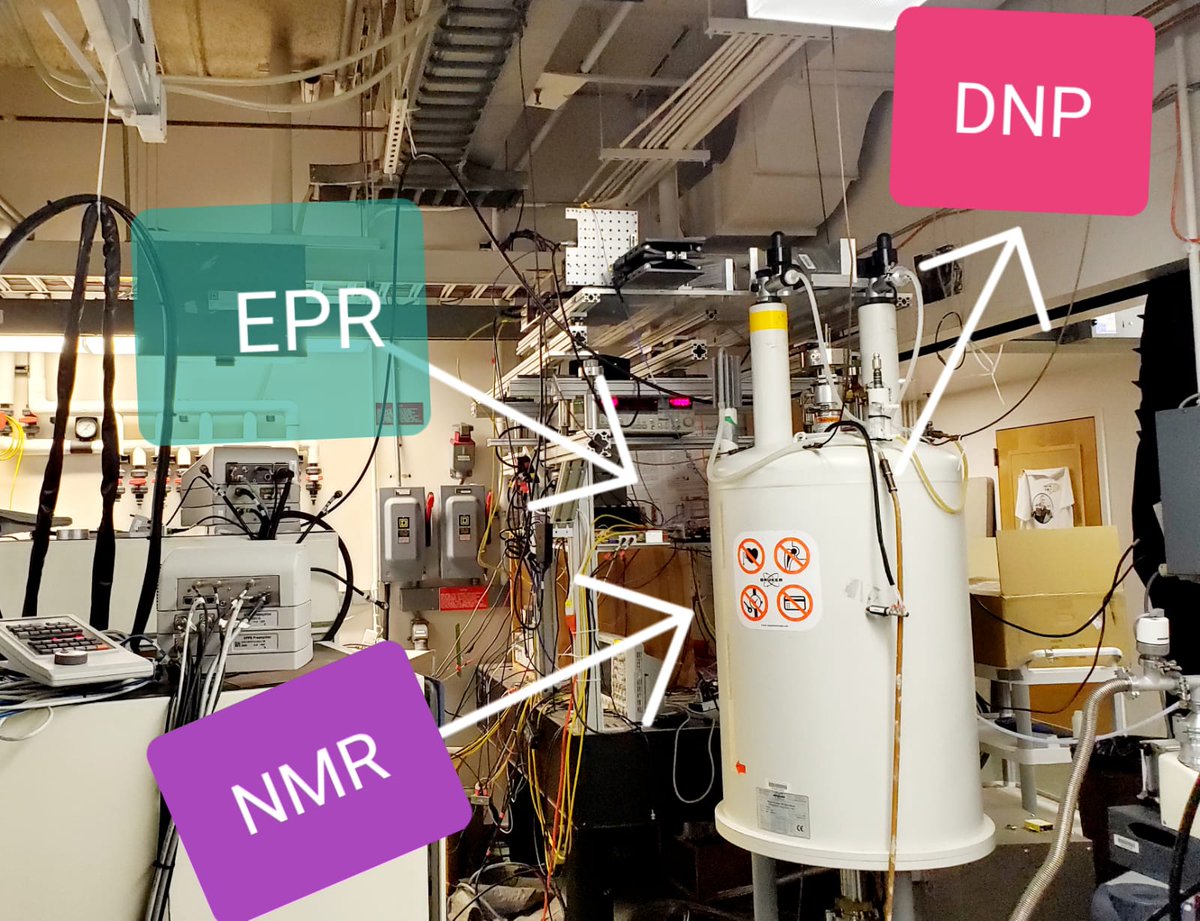 asifequbal313's tweet photo. #joinIES 

 DNP is powerful in increasing #NMR sensitivity, but electrons are Crazy and Unpredictable.  

High field @EPR_ESR provides deeper insights into electron spin dynamics and demystifies many surprising effects.

Thank you  #sharEPR for travel grant to attend EPR school. https://t.co/5cA6pY23uX