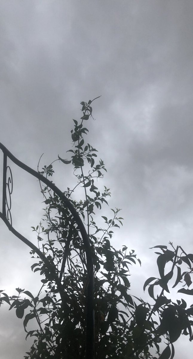 يوم جمعة .. و رائِحة مطَر  ..
سَماء مُمتلئه بالغُيوم 🌧
 ودعَوات من القلبْ  ../،

فقط ..!
قل .. يارب ../،

ميم ../،🦋