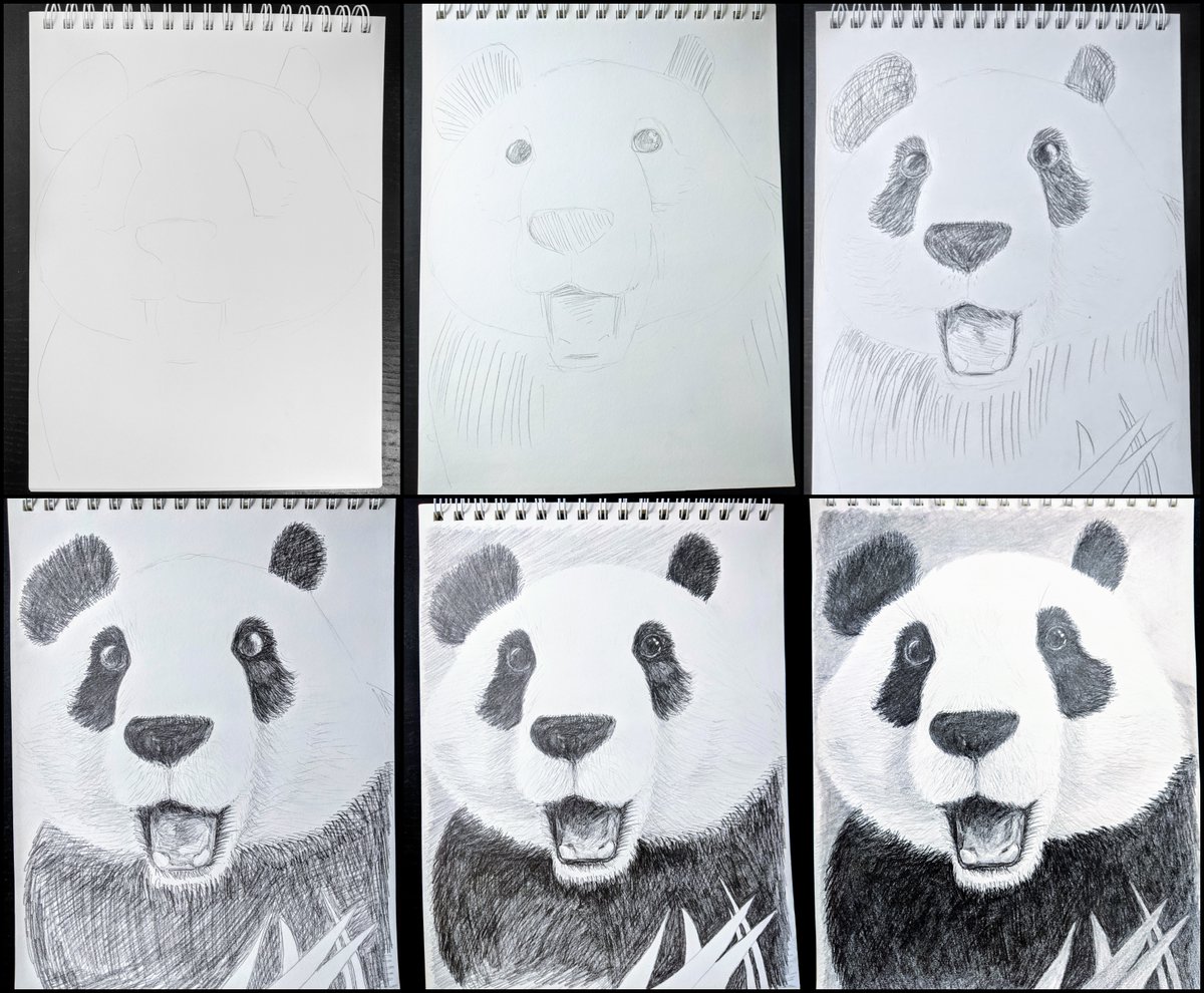 Panda 84 complete!

1000pandas.com
#panda84
#panda
#1000pandas
#AmandaFarrell
#panda🐼
#pandaart
#pandadrawing
#draw
#drawing
#drawinginprogress
#giantpanda
#熊猫