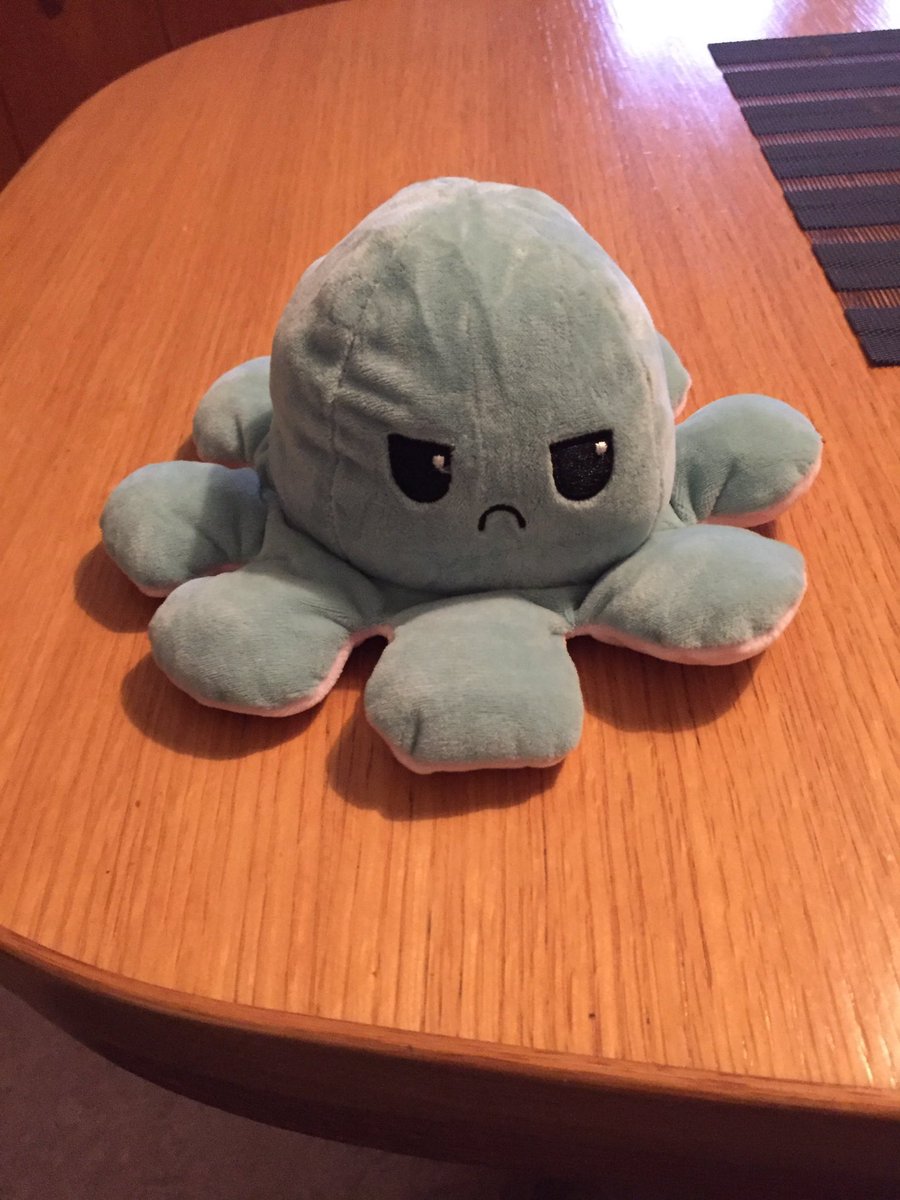 rakilstormi's tweet photo. I want this plushie octopus that has 2 moods depending on which way you flip it inside out 😂😂 https://t.co/hWdztNhIa3