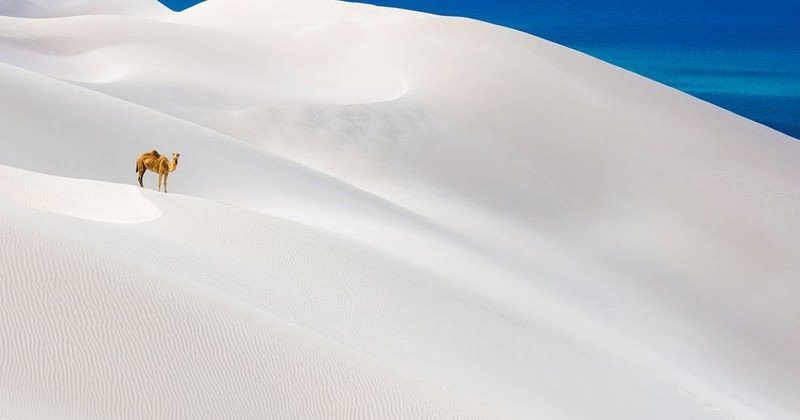 White sand dunes of Socotra island. Somalia.
