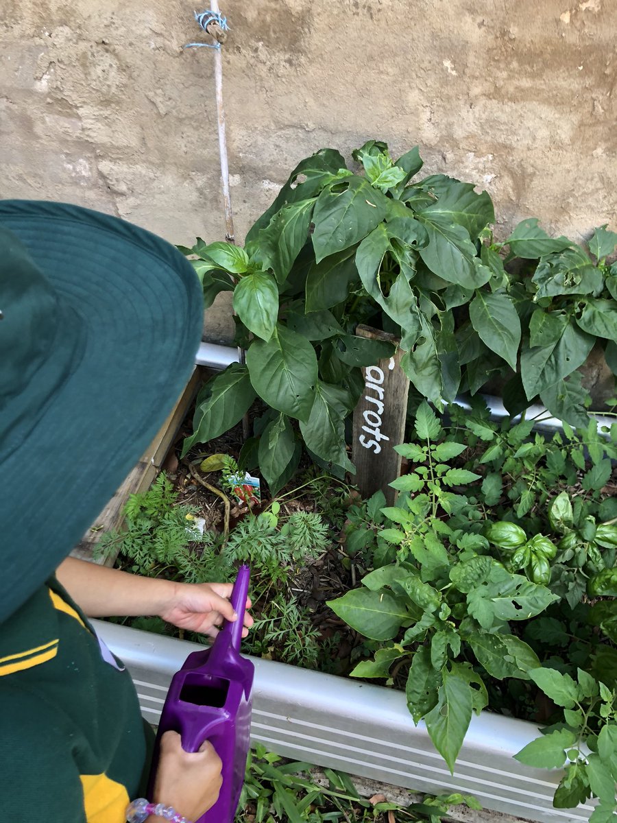 A perfect morning for exploring the garden! 🌿🌱