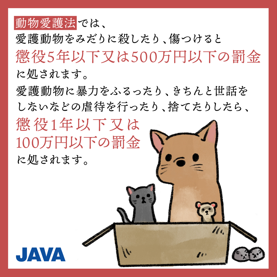 動物実験の廃止を求める会 Java 犬猫などの動物を殺したり 傷つけたりする 動物虐待 は 法律で罰せられるれっきとした犯罪です しつけ と言って暴力をふるう 狭いケージに閉じ込めっぱなし 病気や怪我を放置するなど きちんと世話をしない 動物実験の廃止を求める会 Java 犬猫などの動物を殺したり 傷つけたりする 動物虐待 は 法律で罰せられるれっきとした犯罪です しつけ と言って暴力をふるう 狭いケージに閉じ込めっぱなし 病気や怪我を放置するなど きちんと世話をしない