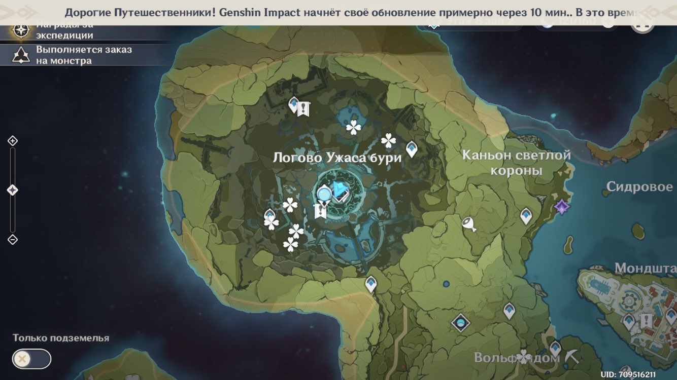 сияющий кубок геншин где. затерянная долина геншин импакт. электро кристаллы геншин импакт карта. легенда genshin impact. мисс бай геншин импакт.