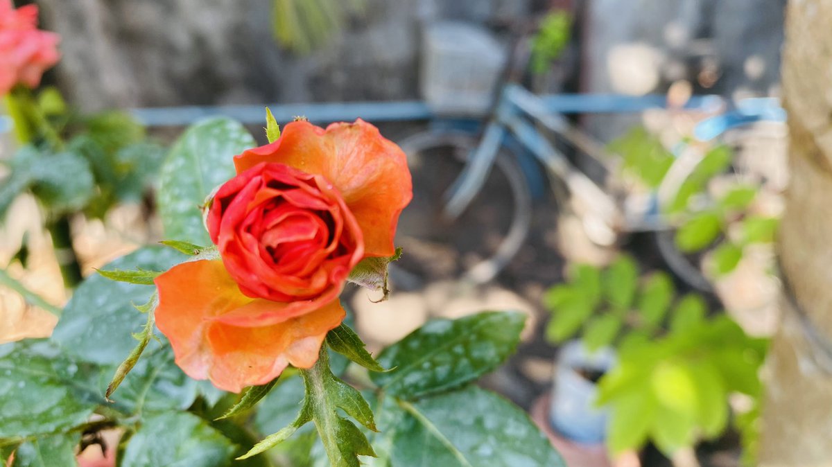 myo min oo (@oomyomin835) on Twitter photo 