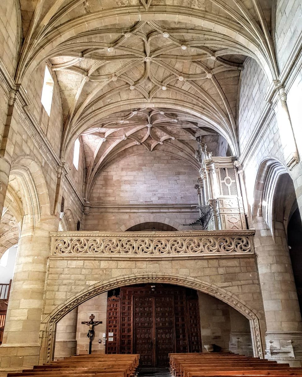 Soria está de moda tweet media