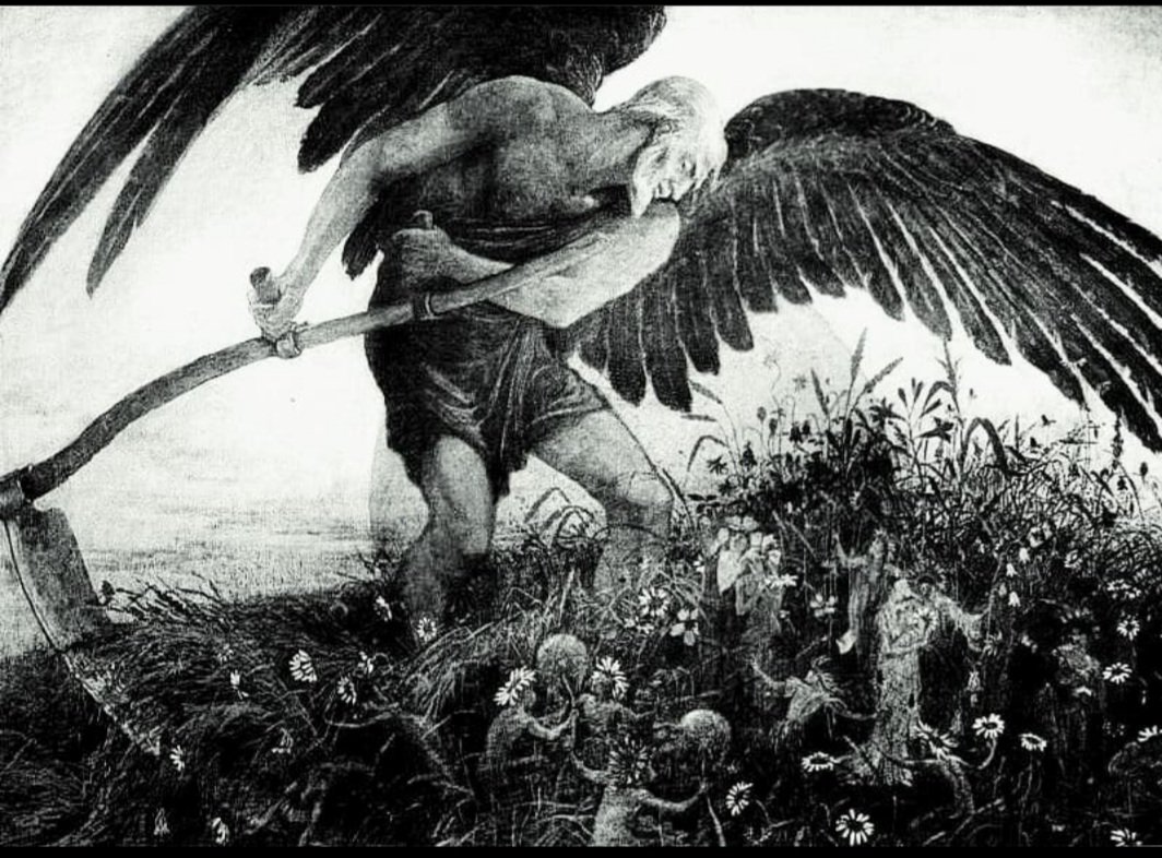 duffcorazon's tweet image. 