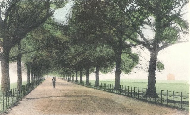 OldLondonW14's tweet image. Battersea Park Avenue and Cricket pitch, c 1900