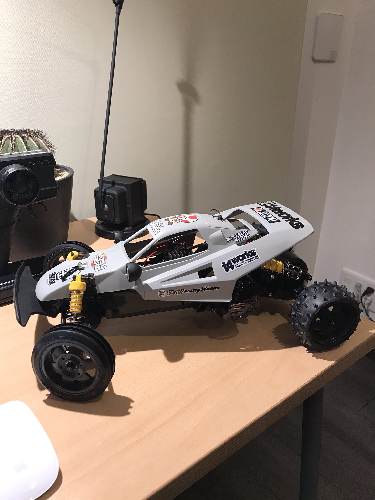 タミヤ 1/10ラジコン DT01シャーシ ルーキーラビット マッド