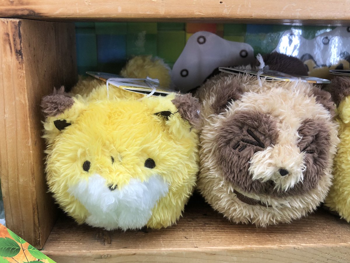 マンガ倉庫日向店アミューズ on X