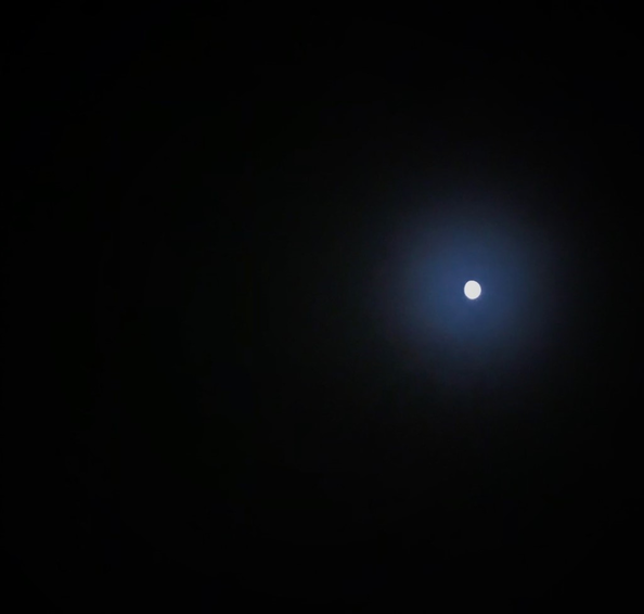 MigrationOur's tweet photo. "The moon shined so bright the night we fled" #ourmigrationhistory
Check out more at https://t.co/tvbcHvU0eR https://t.co/9GwKRpq43s
